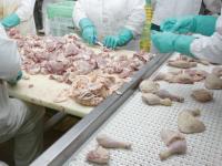 Locali di lavorazione